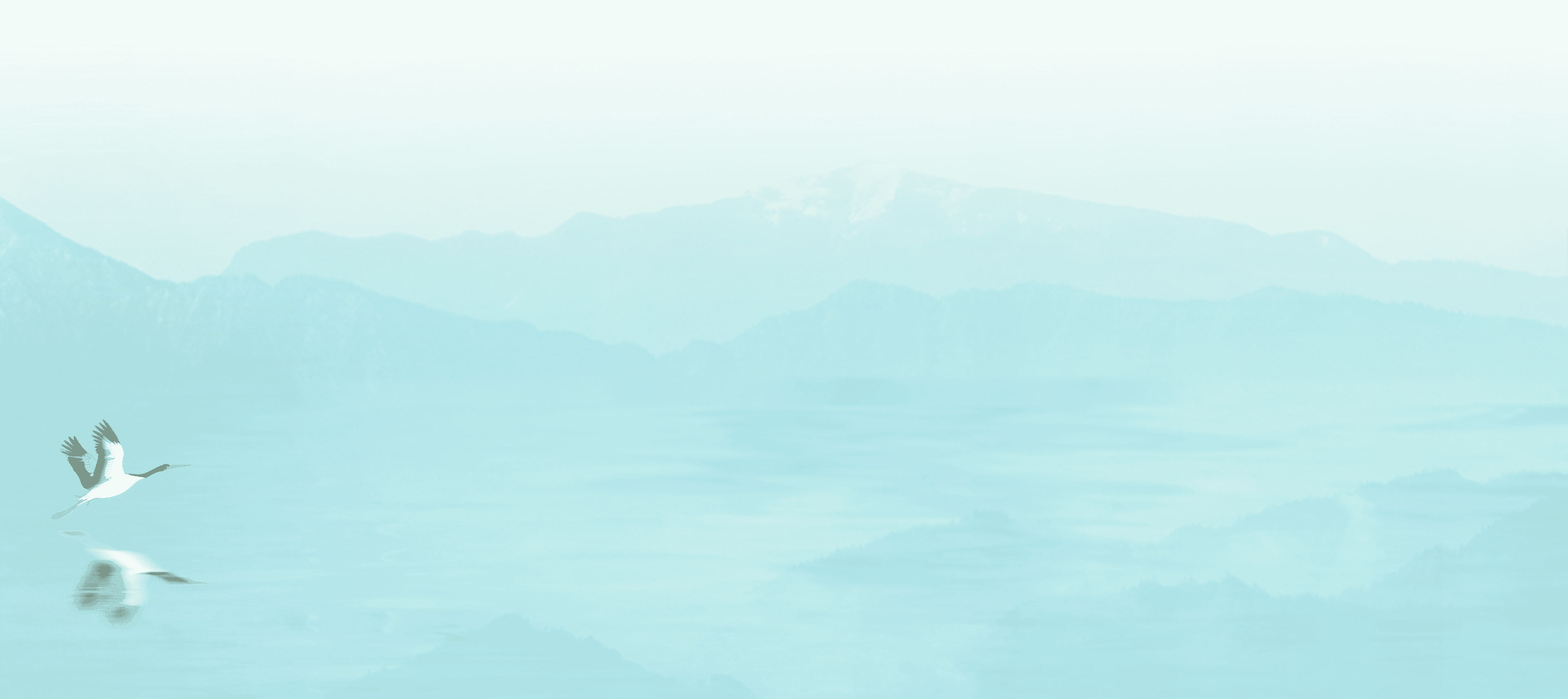 哈兔中文在线夏令营