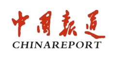 中国报道