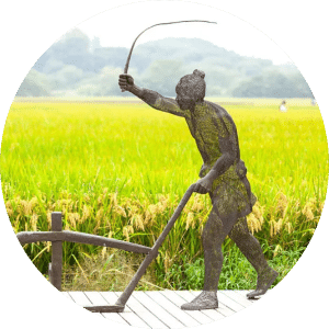 哈兔南宋文化夏令营